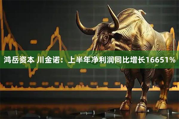鸿岳资本 川金诺：上半年净利润同比增长16651%