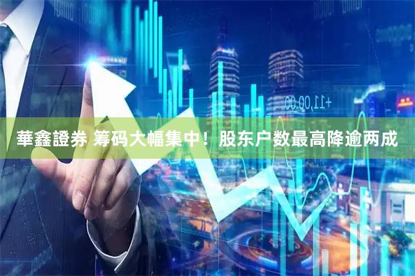 華鑫證券 筹码大幅集中！股东户数最高降逾两成