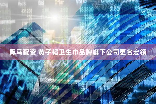 黑马配资 黄子韬卫生巾品牌旗下公司更名宏领