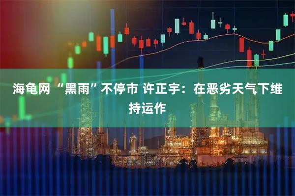 海龟网 “黑雨”不停市 许正宇：在恶劣天气下维持运作