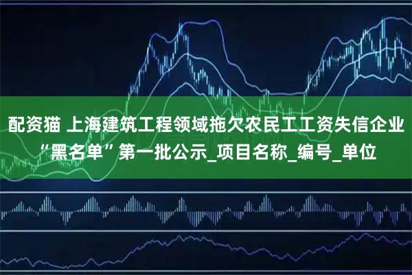 配资猫 上海建筑工程领域拖欠农民工工资失信企业“黑名单”第一批公示_项目名称_编号_单位